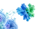 Interleukines recombinantes sans origine animale