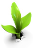 Extraction et purification d'ADN génomique - Plante