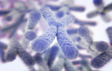 Cytogénétique - Diagnostic prénatal