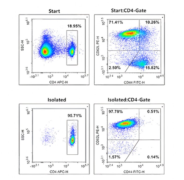 Résultats de pureté MIM007N
