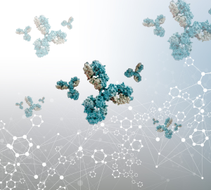 Synthèse chimique des VHH : formats thérapeutiques avancés