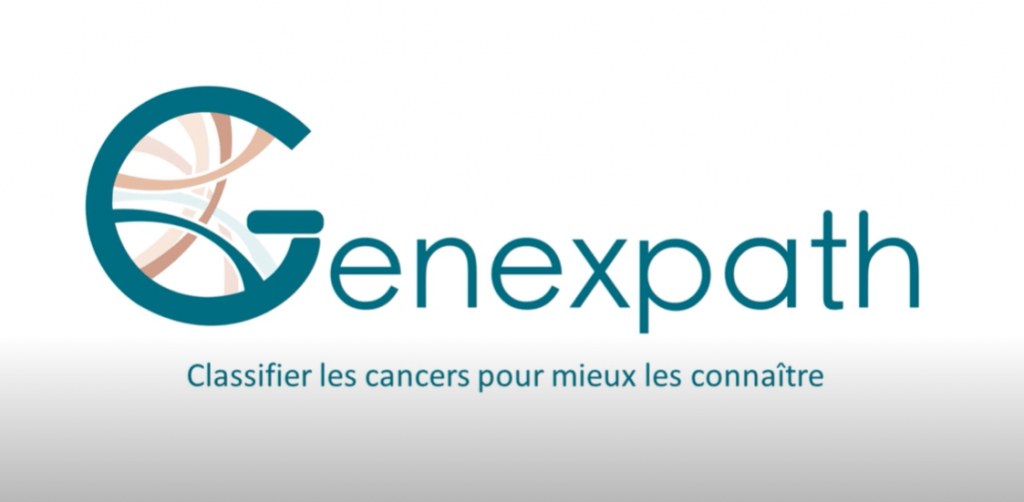 Mise en œuvre du test in vitro