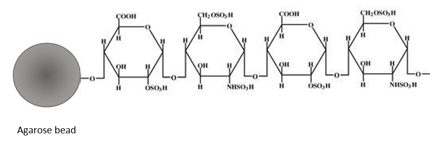 Ni-NTA-coordination