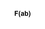 Anticorps secondaires fragmentés F(ab) 