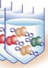 Anticorps primaires Anti-Humain Non-conjugués Polyclonaux - Validés IP