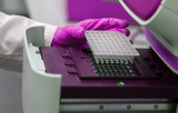 Kits de détection des mycoplasmes - PCR conventionnelle