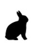Cellules primaires de lapin