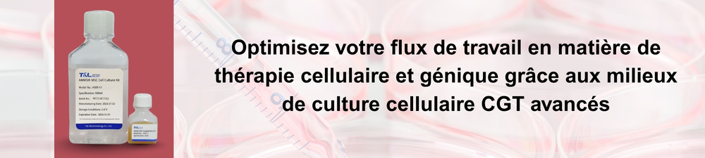 Bannière Lipid Nanoparticles