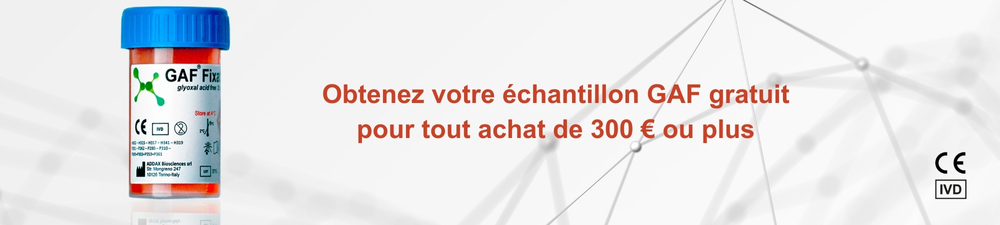 Bannière Nanoparticules Lipidiques