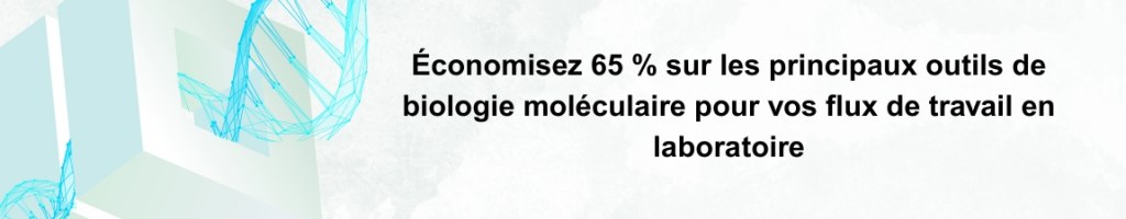 Bannière Nanoparticules Lipidiques