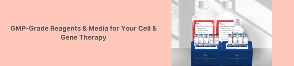 Banner de Nanopartículas Lipídicas