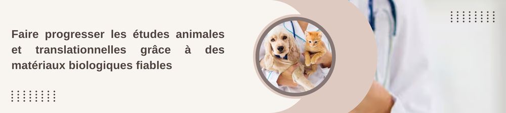 Bannière Nanoparticules Lipidiques