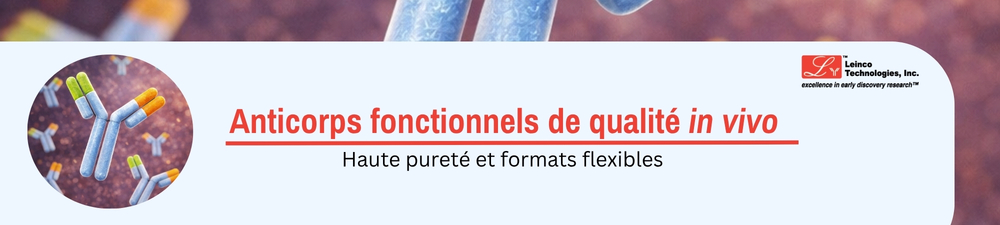 Bannière Nanoparticules Lipidiques