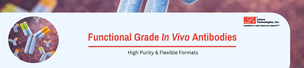 Lipid Nanoparticles Banner