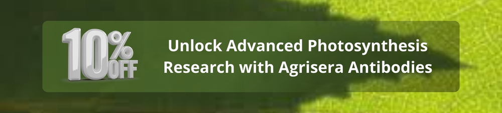 Banner de Nanopartículas Lipídicas