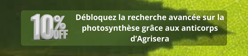 Bannière Nanoparticules Lipidiques