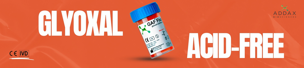 Banner de Nanopartículas Lipídicas