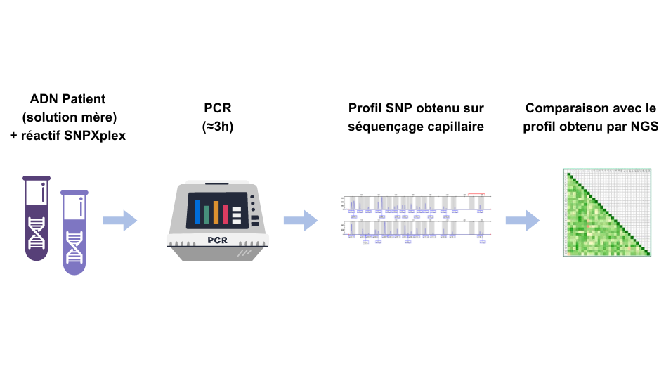 /upload/rembrandt-eber-detection-assay-a5-svd4uu.png