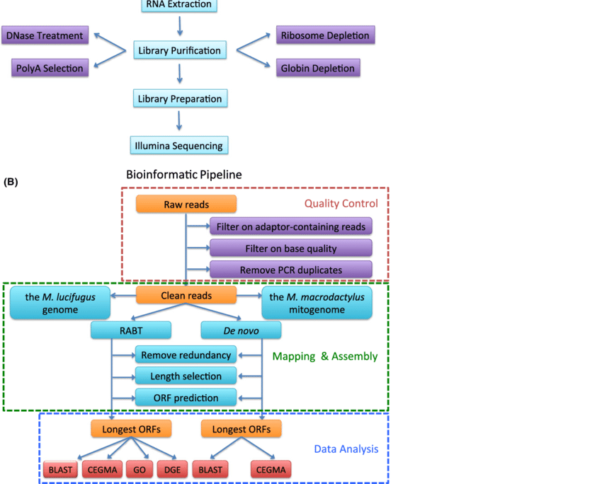 Next-Generation Sequencing Clinisciences