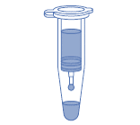 Extraction fragments ADN et PCR - Colonne de centrifugation