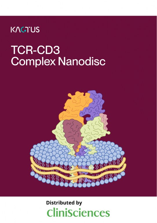 /upload/tcr-cd3-kactus-xbm886.jpg