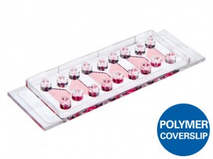 Chimiotaxie sur des  µ- lames