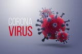COVID-19 - SARS-CoV-2 - Produits pour le diagnostic et la recherche sur le nouveau coronavirus