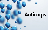 Résines d'affinité pour les anticorps