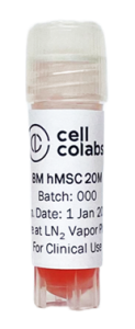 Cellules souches mésenchymateuses