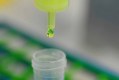 Nano-Traps : Nano-anticorps pour l'immunoprécipitation