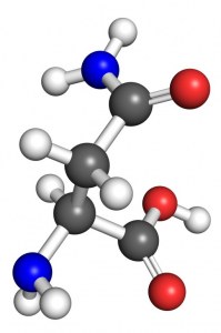 Béta-oxydation