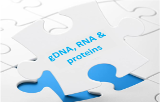Purification simultanée ADNg, ARN et protéines