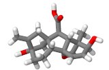 Gibbérellines (GA)