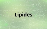 Kits de dosage - Métabolisme des lipides