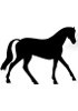 Blocs et tissus - Cheval