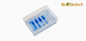 Western Blot Low-Cost Basics - 30% de réduction