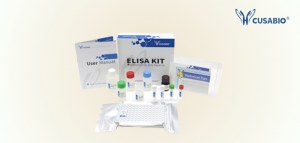 30% de remise sur les tests ELISA Cusabio pour la recherche