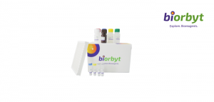Liquidation des kits ELISA d'hiver – 50 % de réduction 