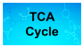 Cycle de l'acide tricarboxylique
