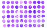 Tissue Array congelé