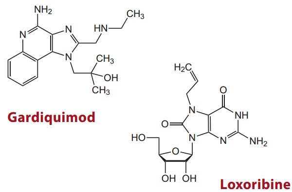 TLR7 agonists