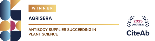 /upload/wb-antibody-supplier-succeeding-i-7uu5pn.jpg